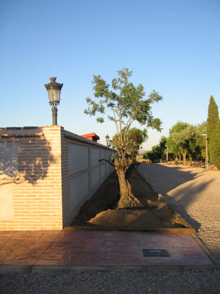 Iluminación Exterior